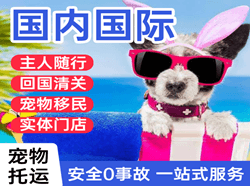 柳州白莲航空快运国际宠物托运 【国